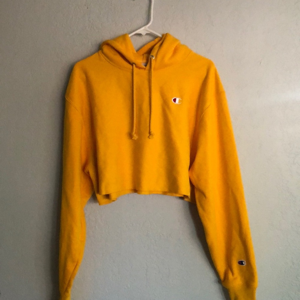 BRAND NEW! Champion cropped, hooded sweatshirt!
